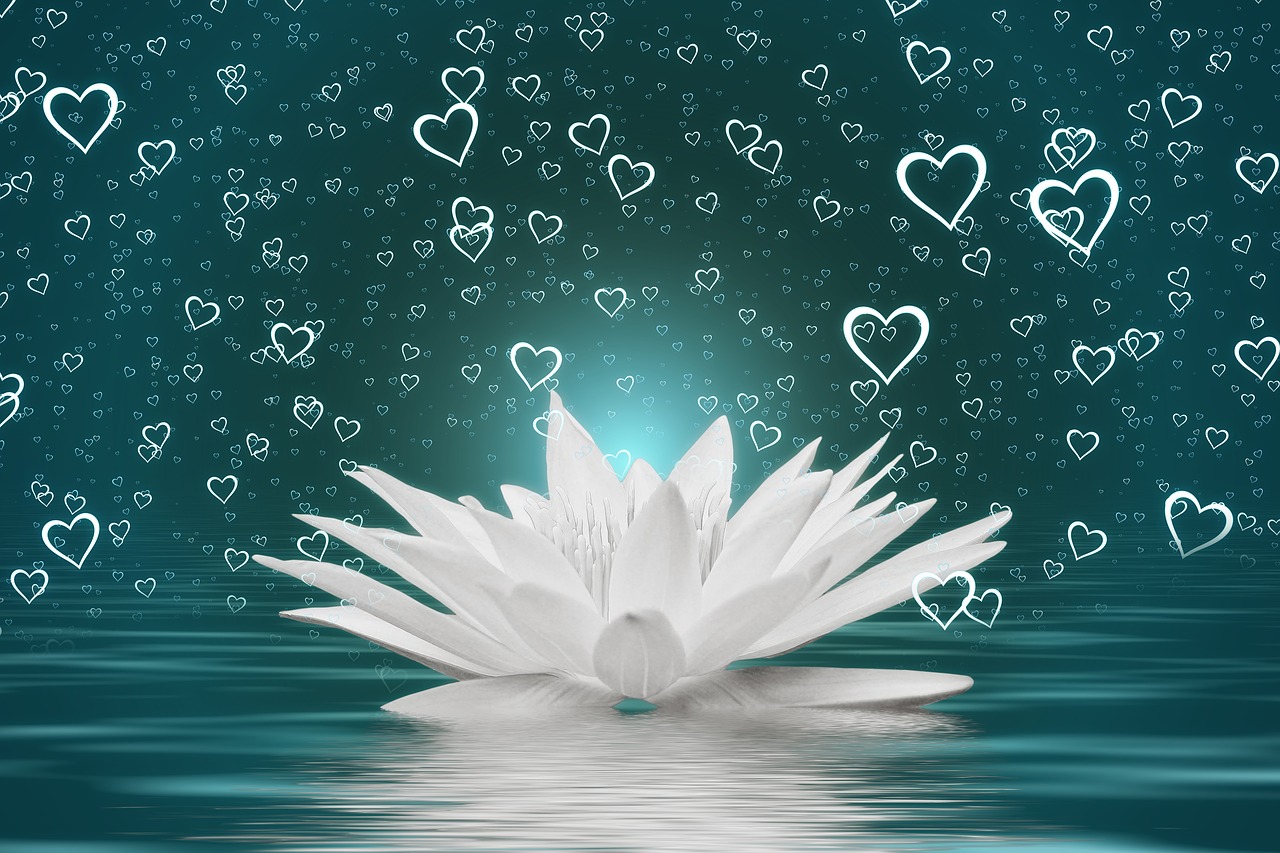 heart  water lily  water free photo