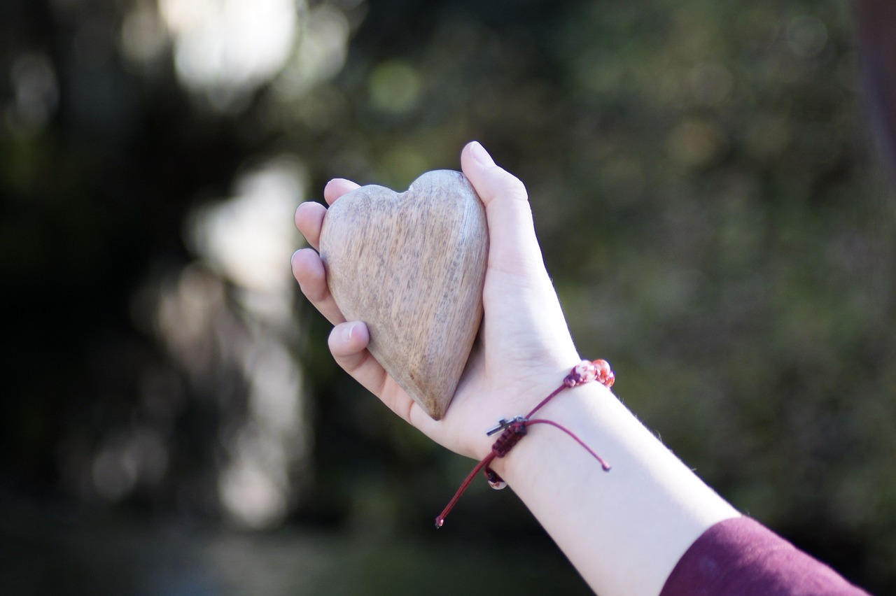 heart  hand  keep free photo