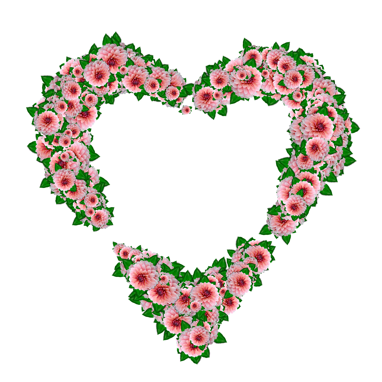 heart  dahlias  design free photo