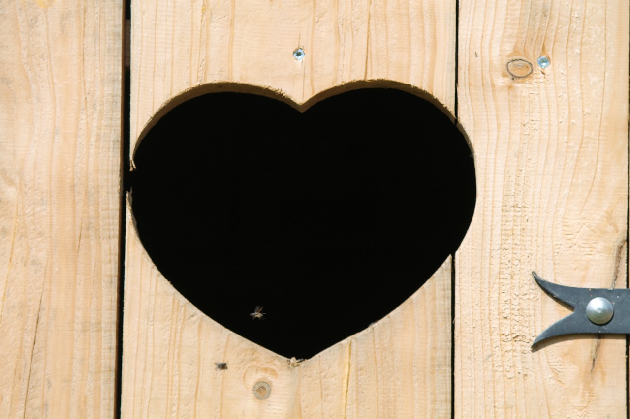 heart door wooden door free photo