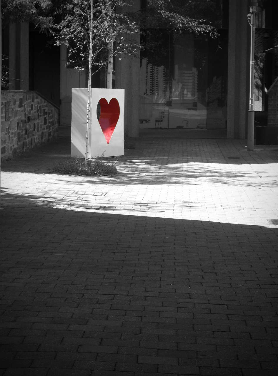 heart red black and white free photo