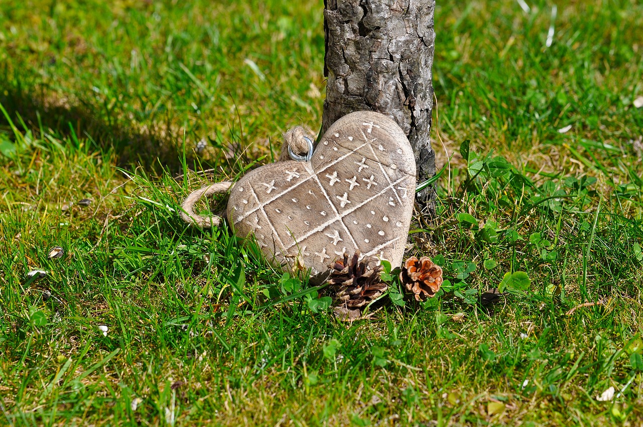 heart wood grass free photo