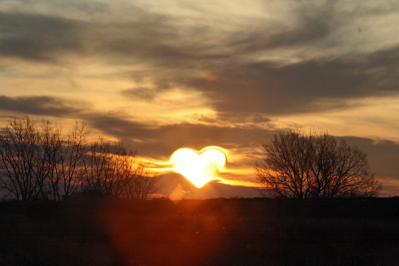 heart love sun free photo