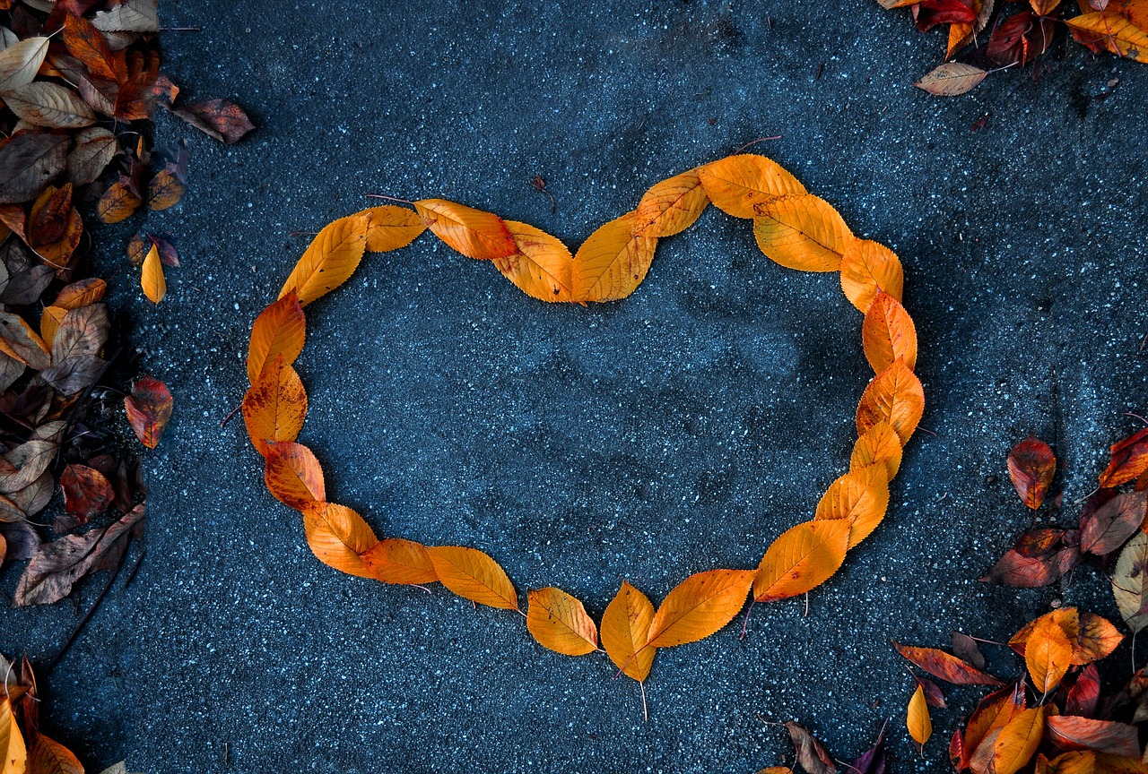 heart foliage orange free photo