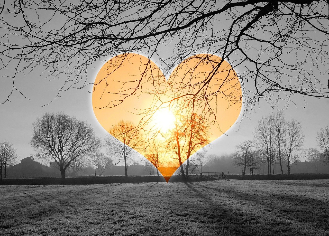 heart love sunrise free photo