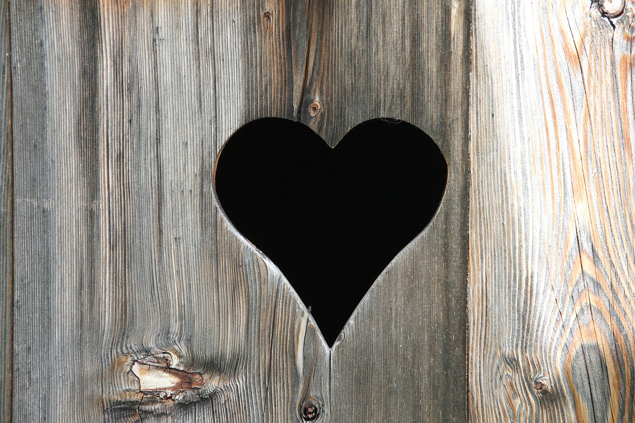 heart outhouse toilet door free photo