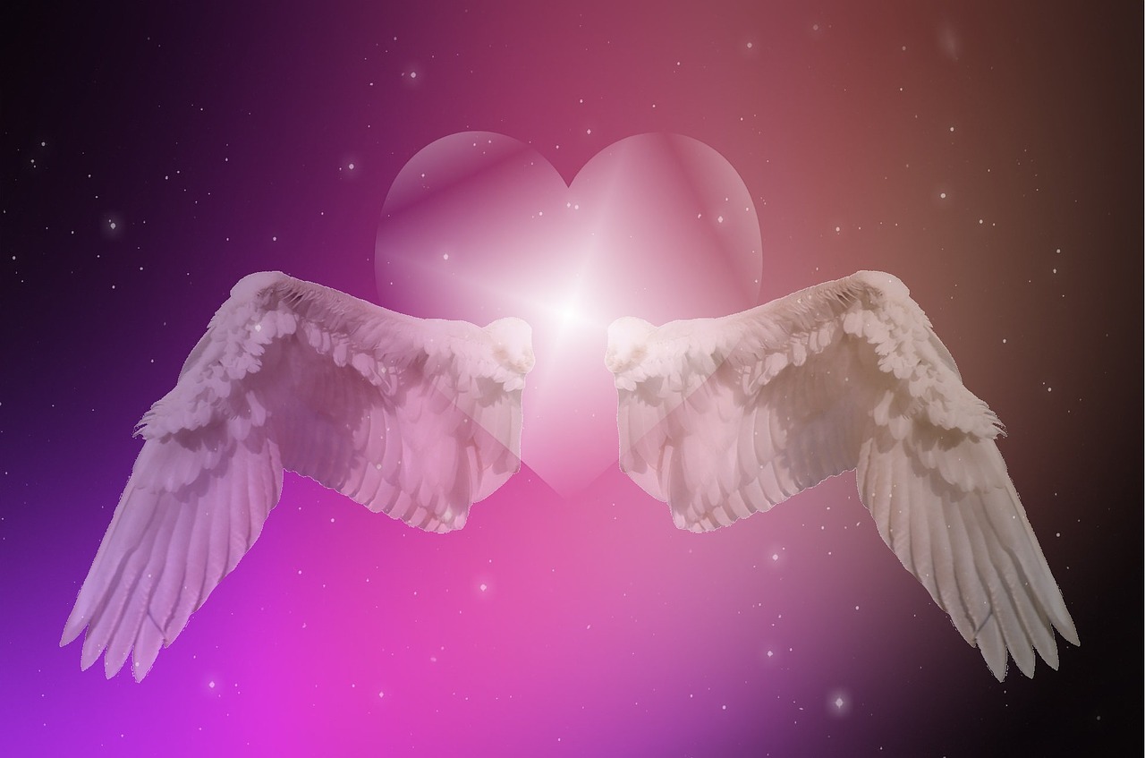 heart wing star free photo