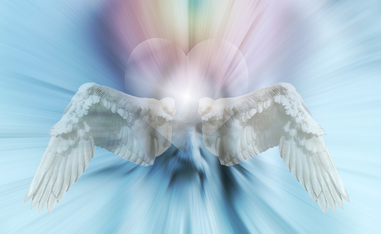 heart angel wing free photo