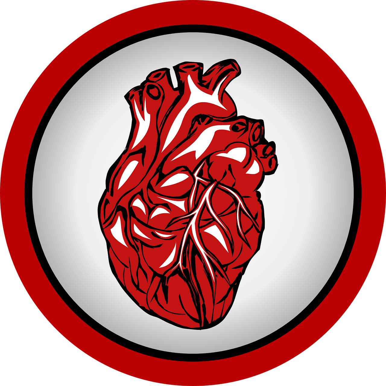heart heartbeat medical free photo