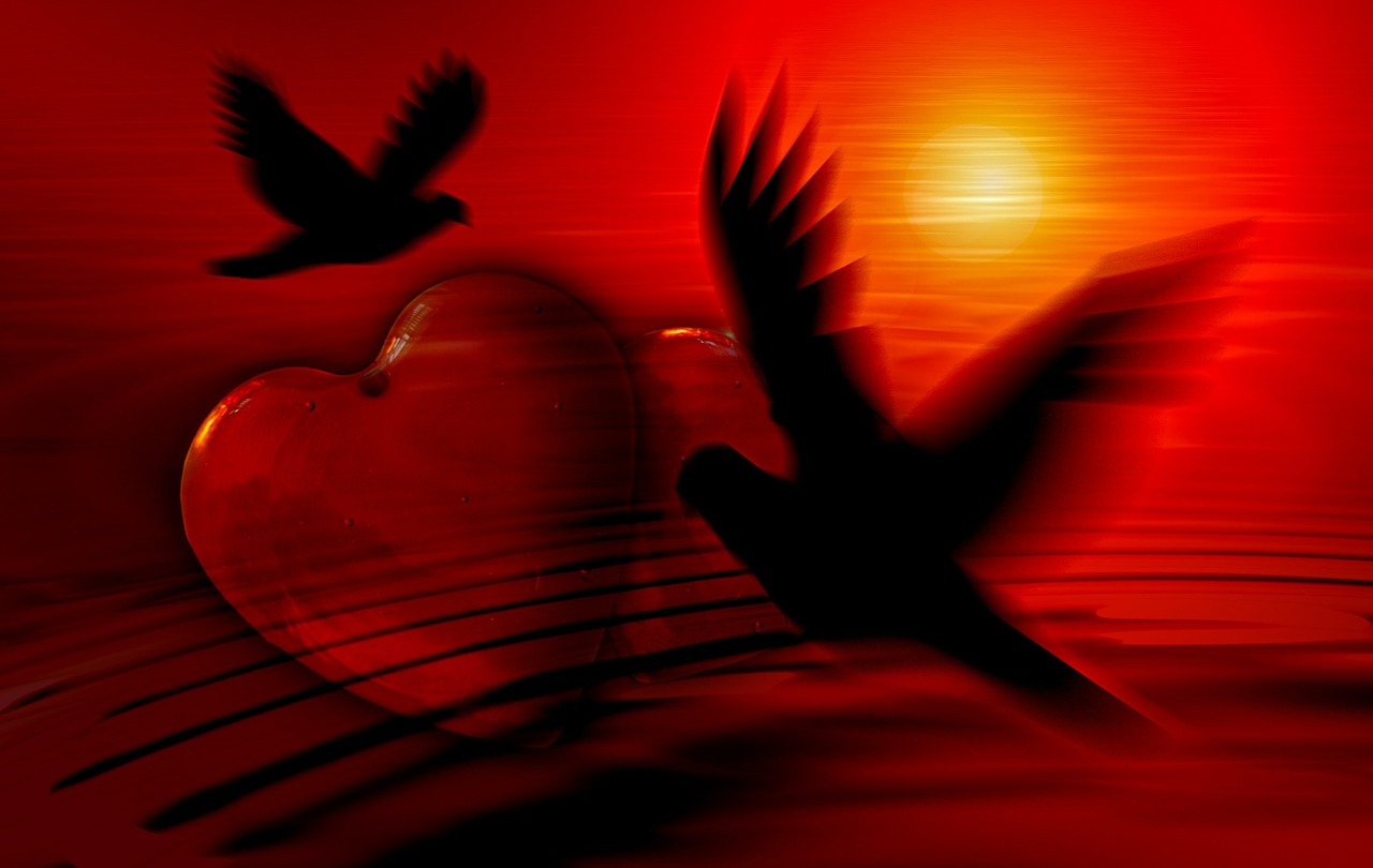 heart dove silhouette free photo