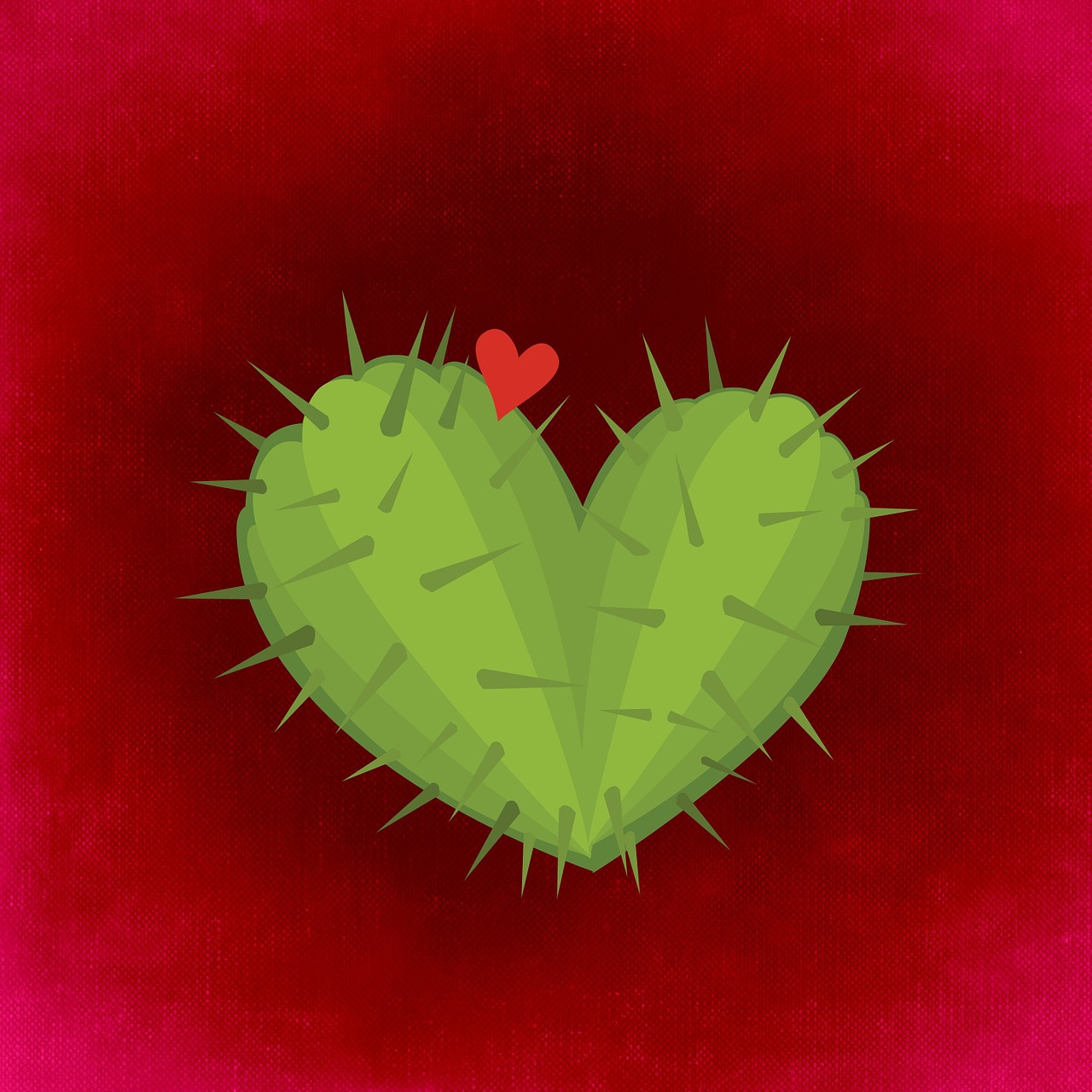 heart cactus love free photo