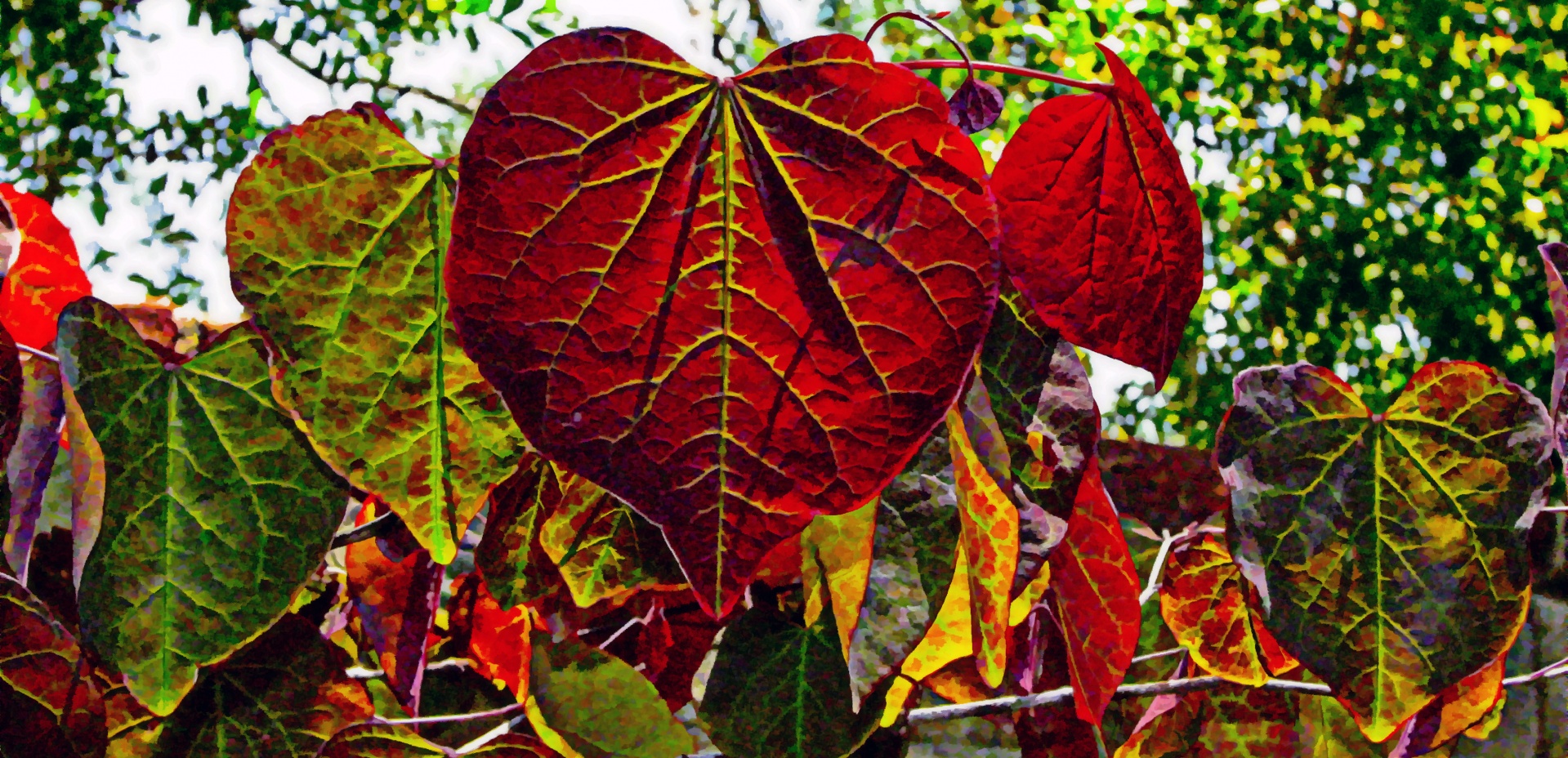 love heart valentine free photo