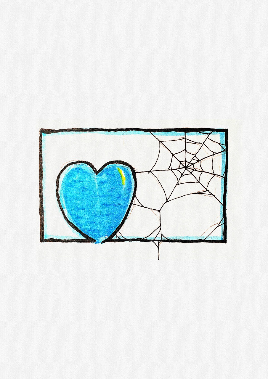 heart shape  love  spider web free photo