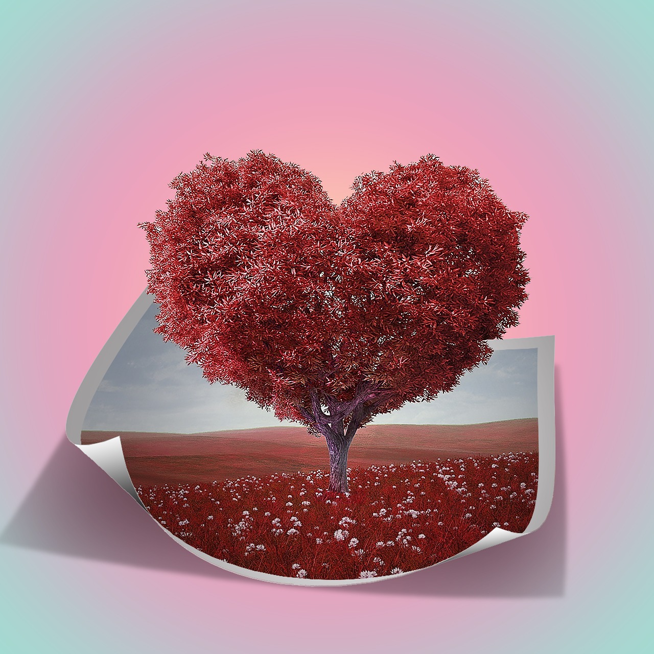 heart-shape  tree  red free photo