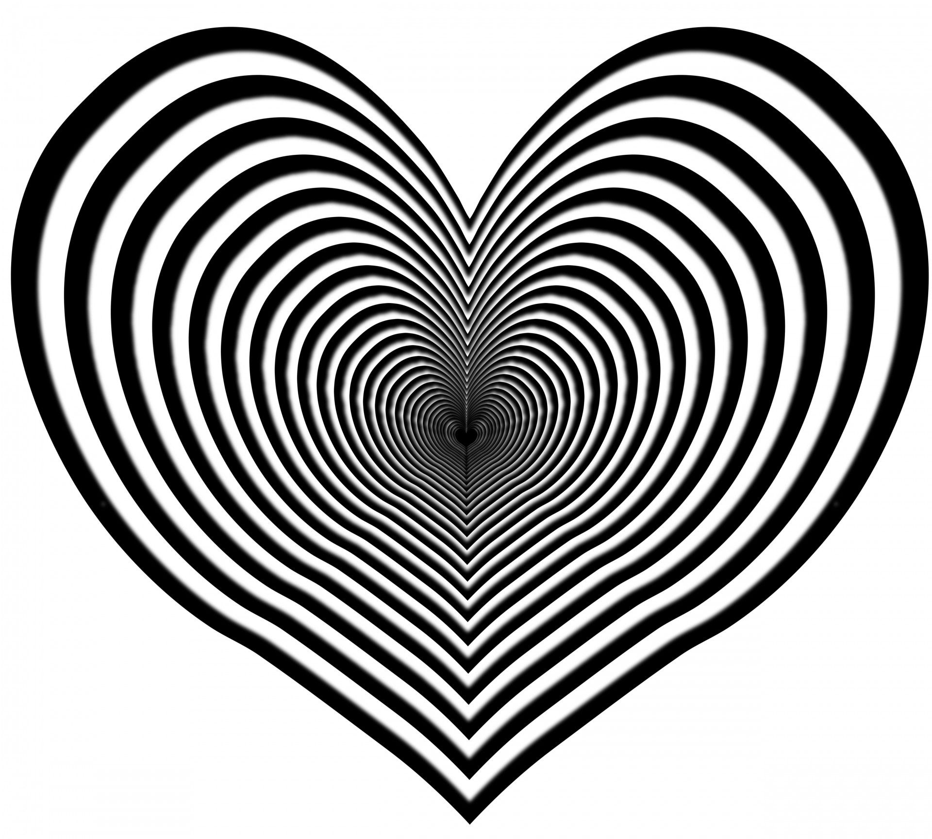 heart clip art zebra free photo