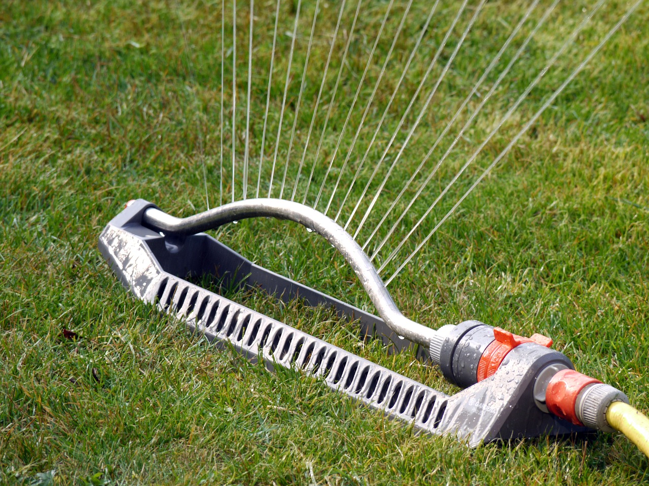 heat wave  sprinkler  irrigation free photo