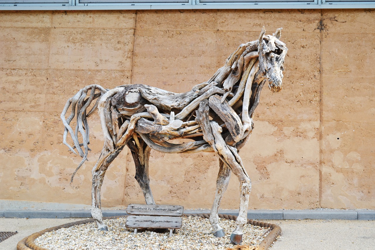 heather jansch driftwood sculpture free photo