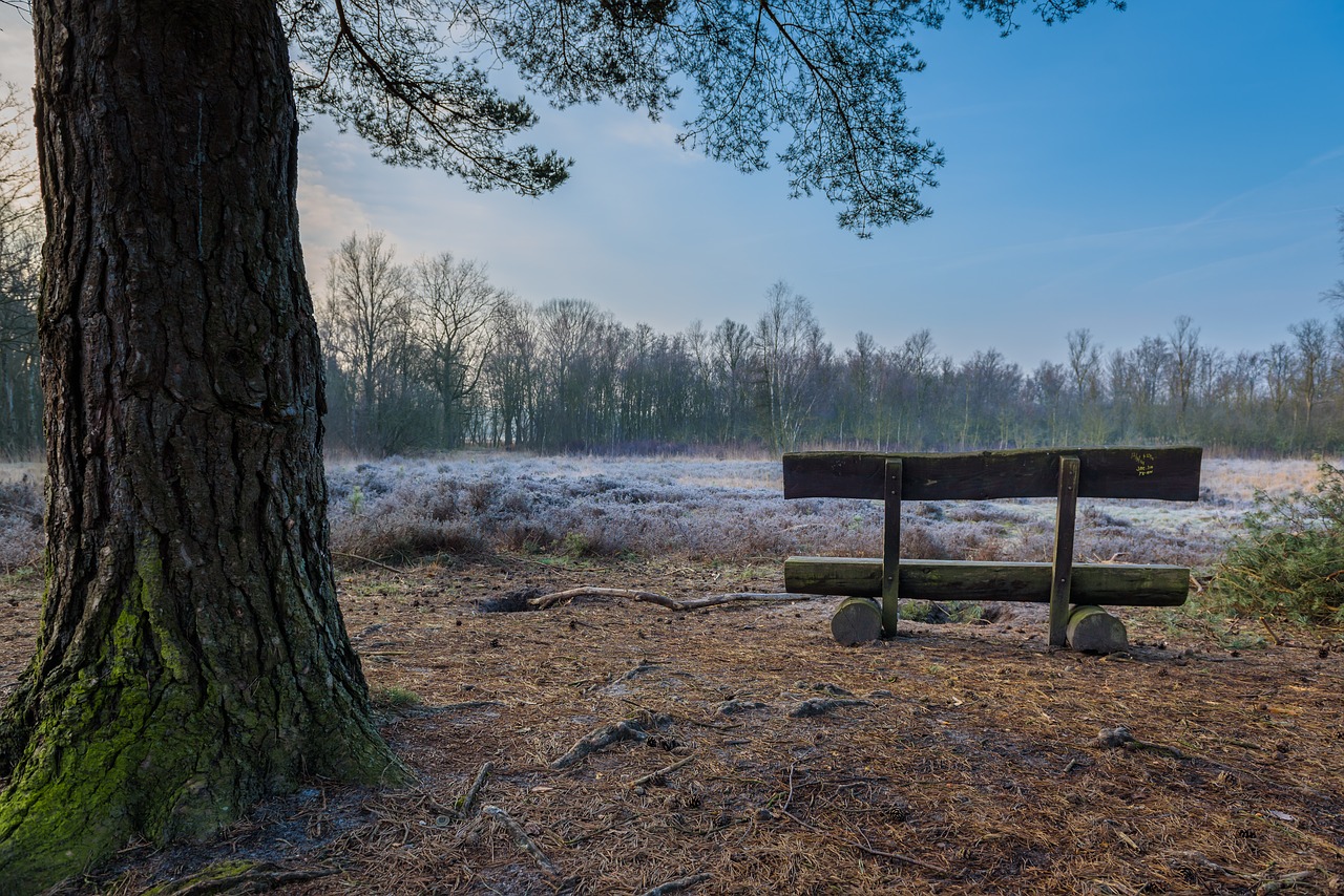 heathland  bank  view free photo