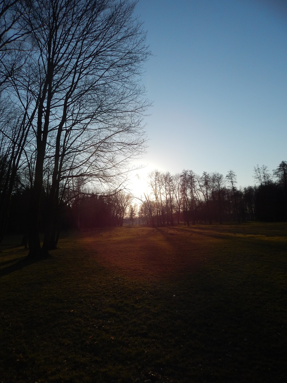 heaven nature trees free photo