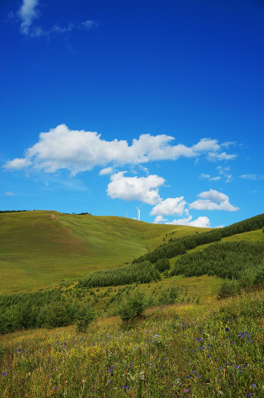hebei fengning bashang grassland blue sky white cloud free photo