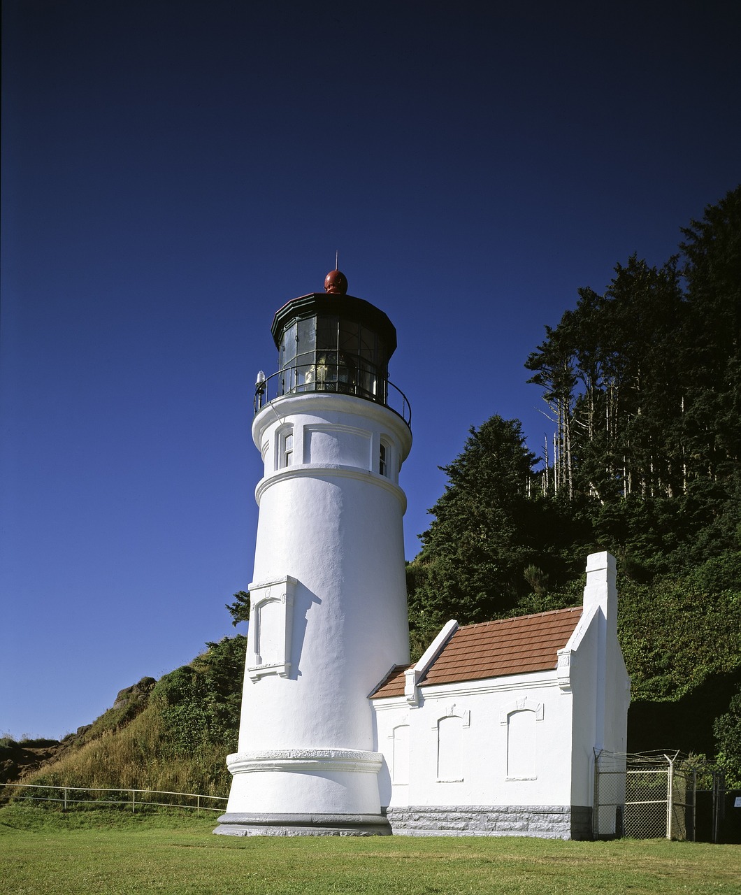 heceta head lighthouse light station ocean free photo
