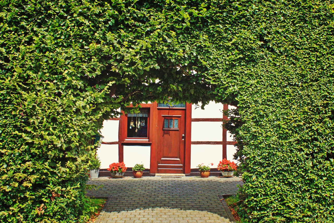 hedge hedge accounting fachwerkhaus free photo