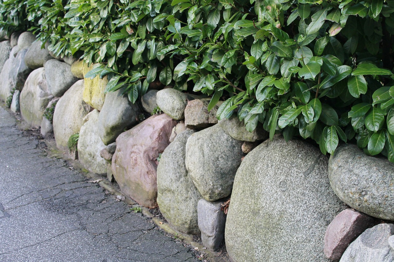 hedge stone wall stones free photo