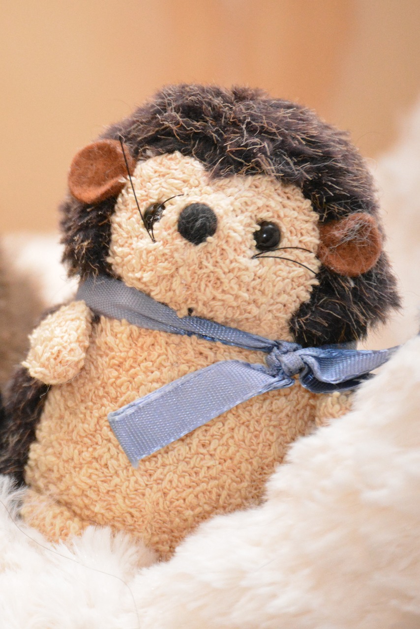 hedgehog stuffed animal teddy bear free photo