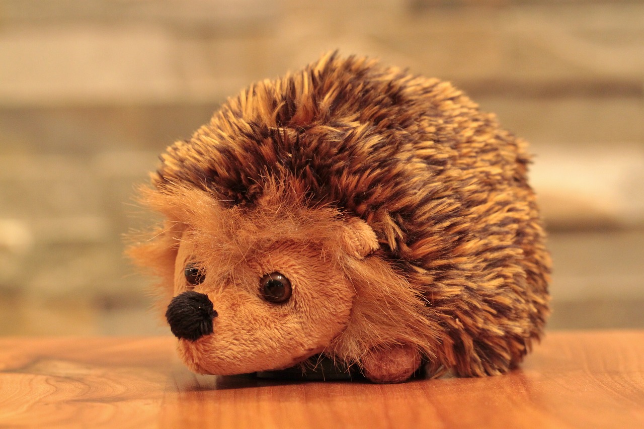 hedgehog animal soft toy free photo