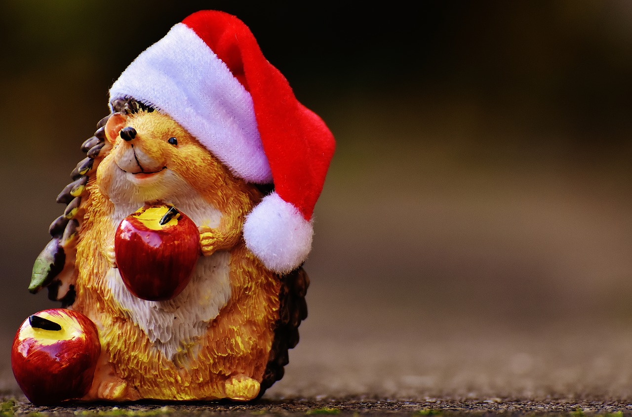 hedgehog figure christmas free photo