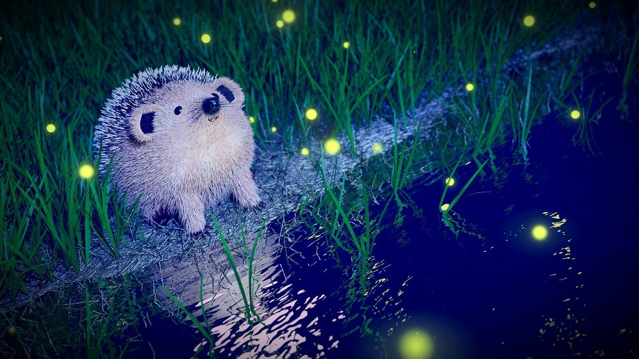 hedgehog night firefly free photo