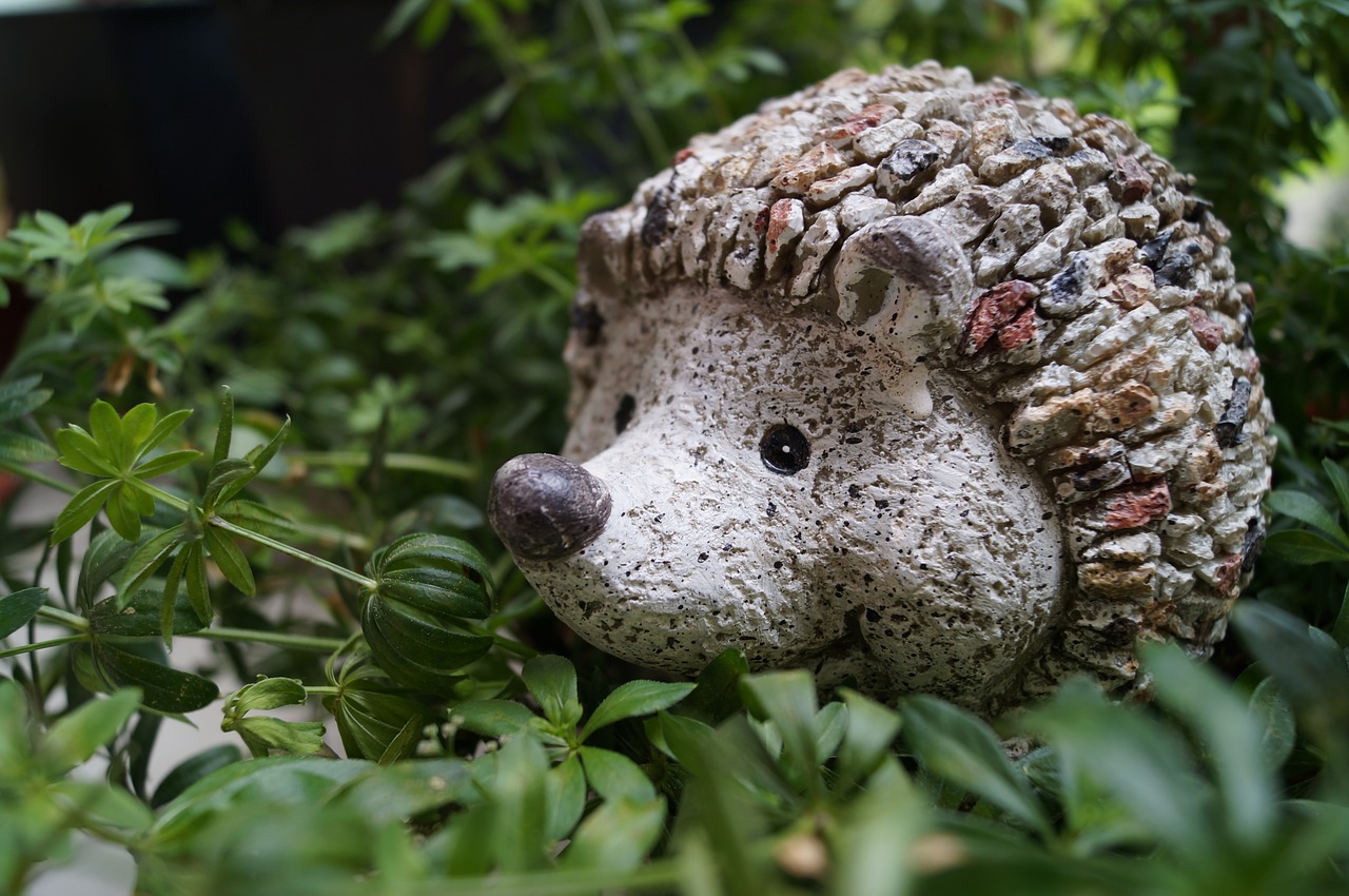 hedgehog  garden  decoration free photo