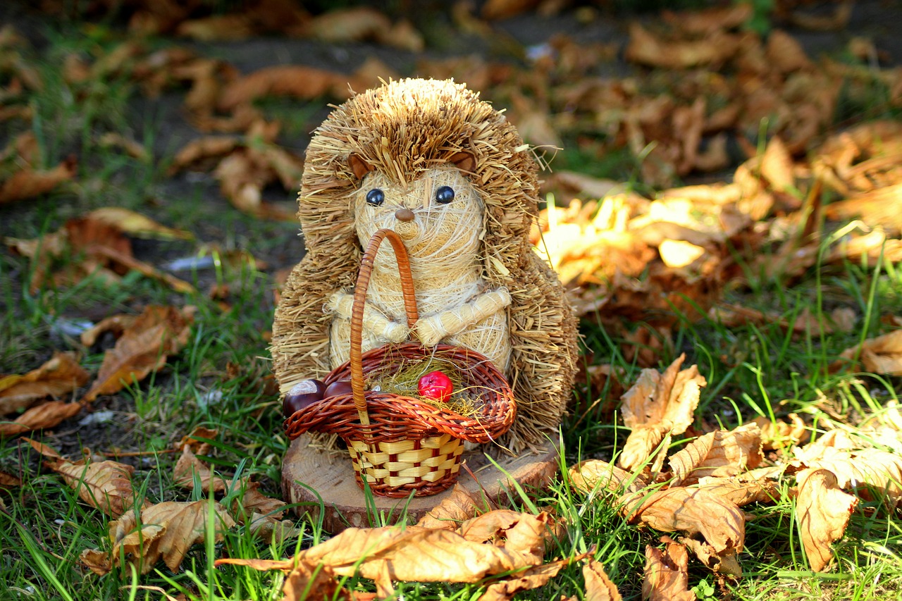 hedgehog  the figurine  decoration free photo