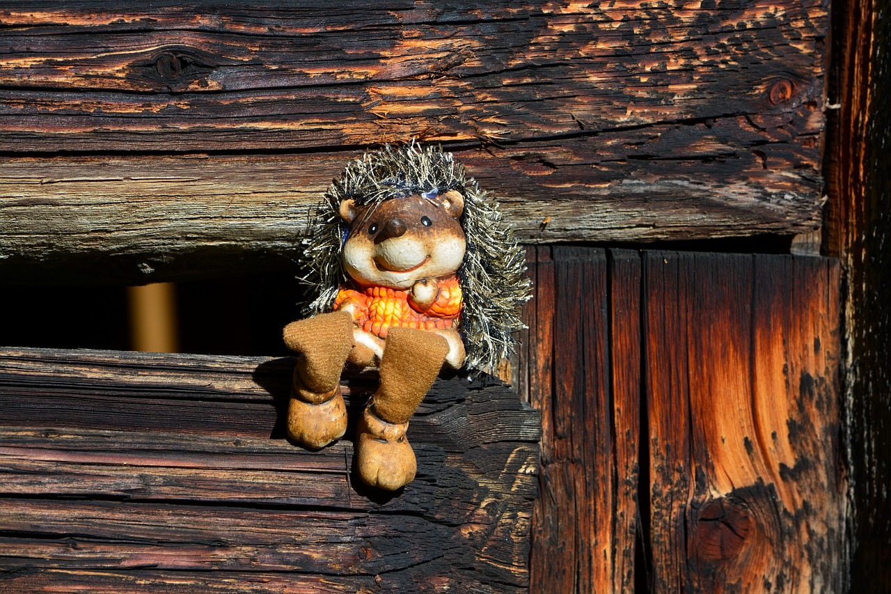 hedgehog figure wood free photo