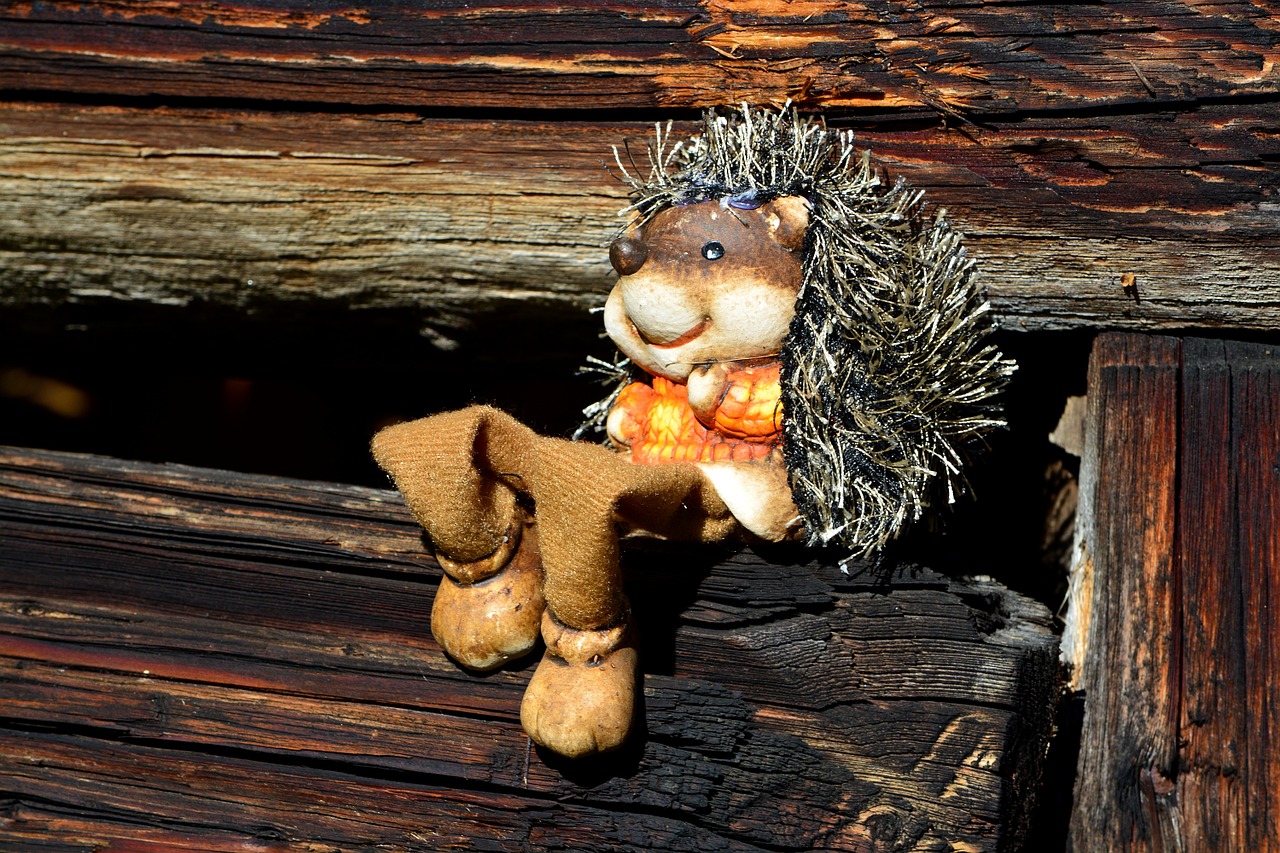 hedgehog figure wood free photo