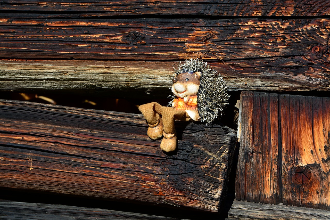 hedgehog figure wood free photo