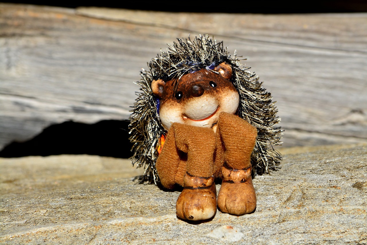 hedgehog figure toys free photo