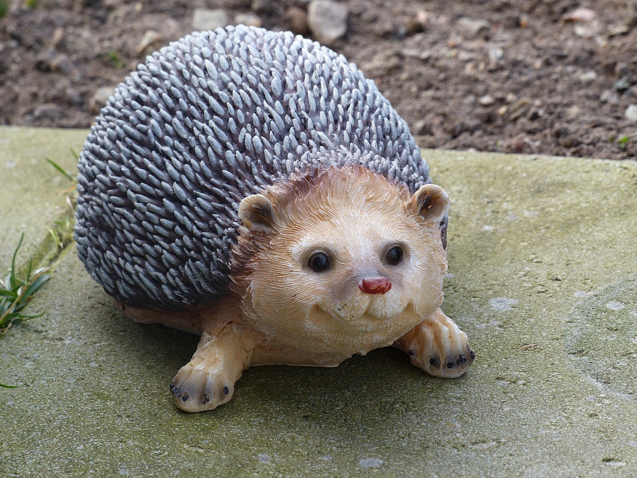 hedgehog stone tiles garden free photo