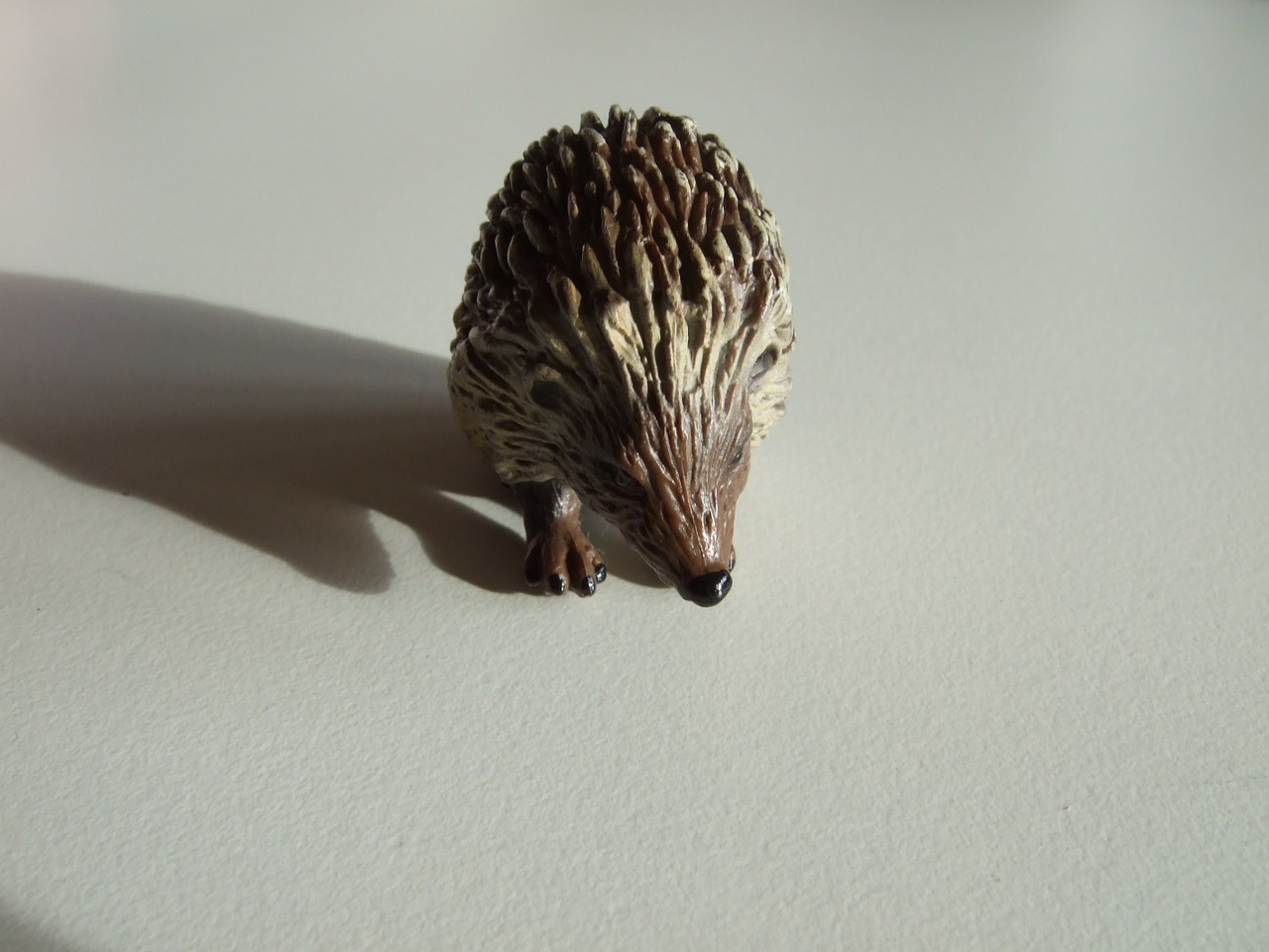 hedgehog animals nature free photo