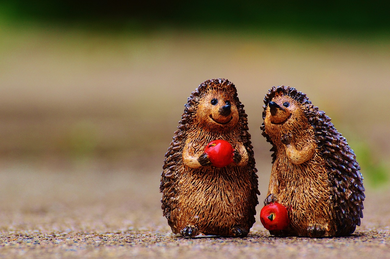 hedgehog figures funny free photo