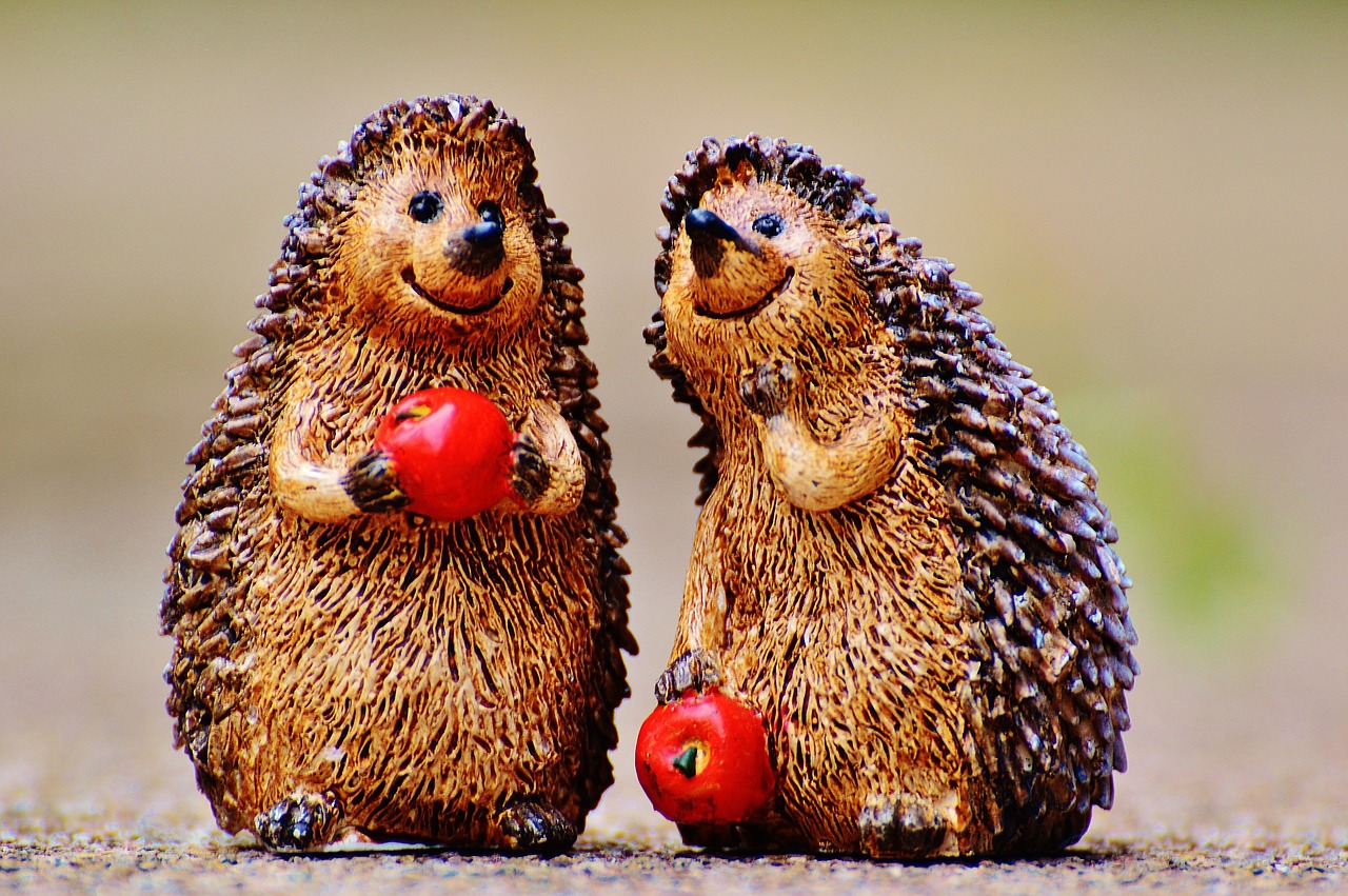 hedgehog figures funny free photo