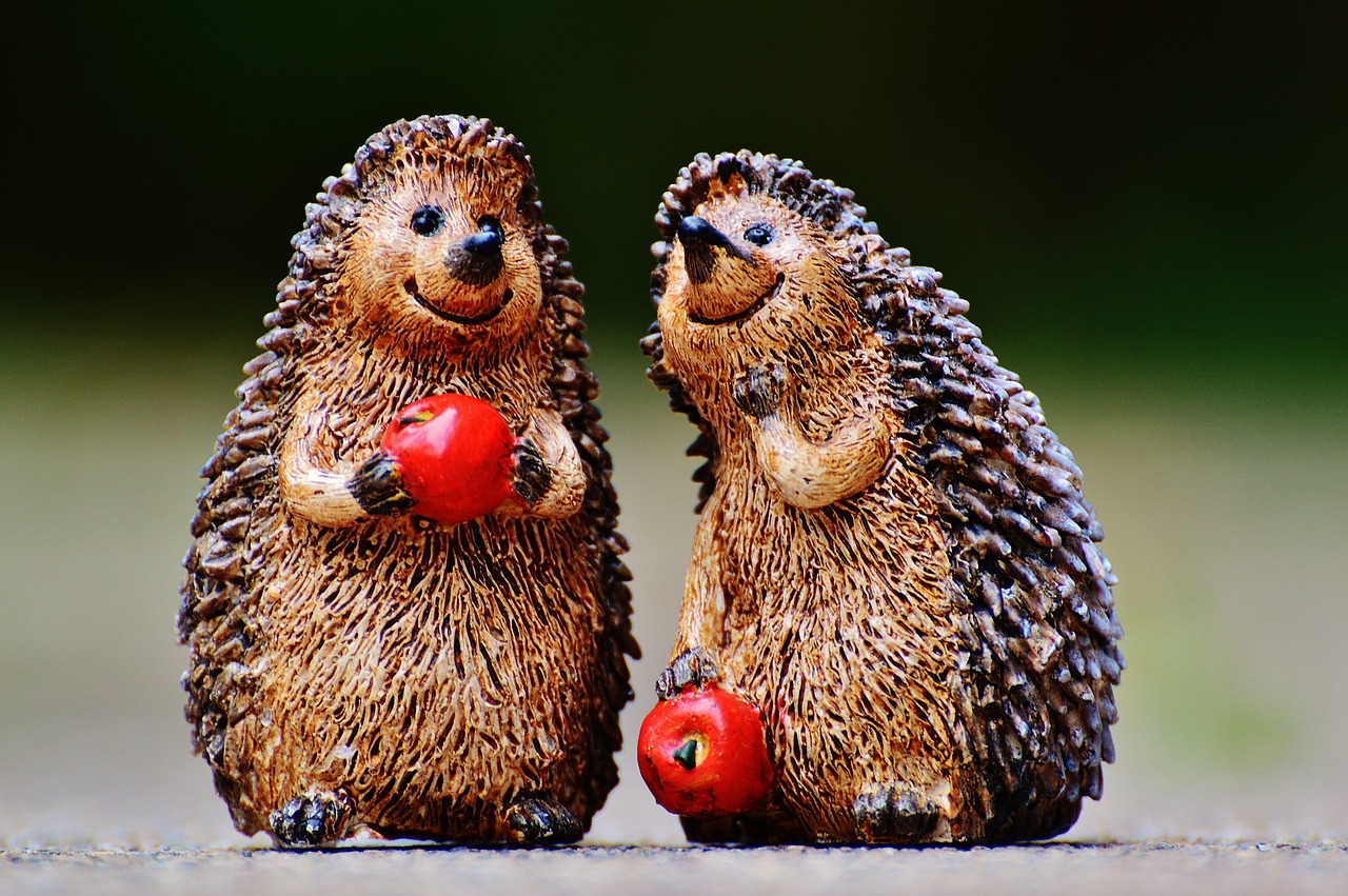 hedgehog figures funny free photo