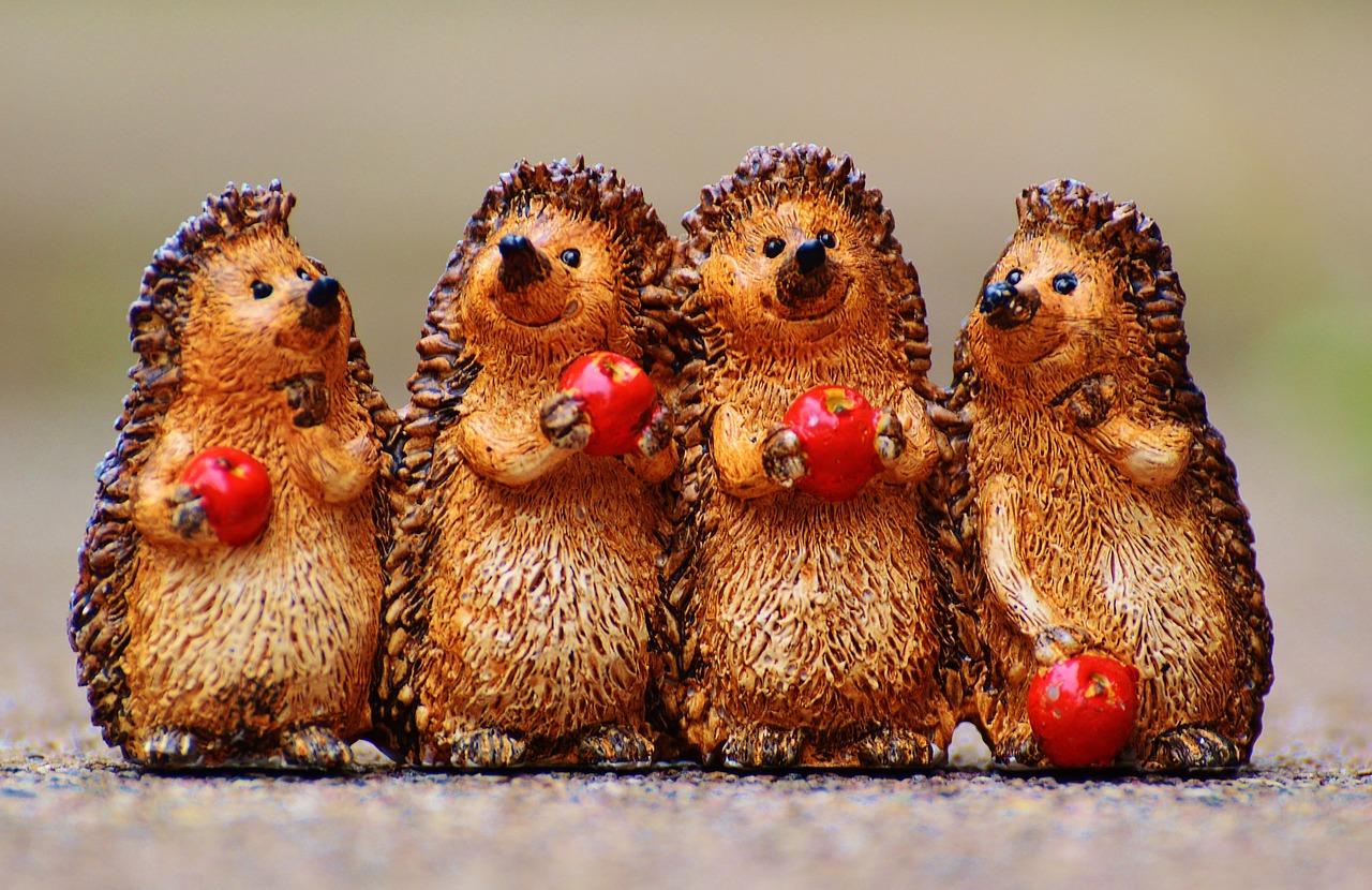 hedgehog figures funny free photo