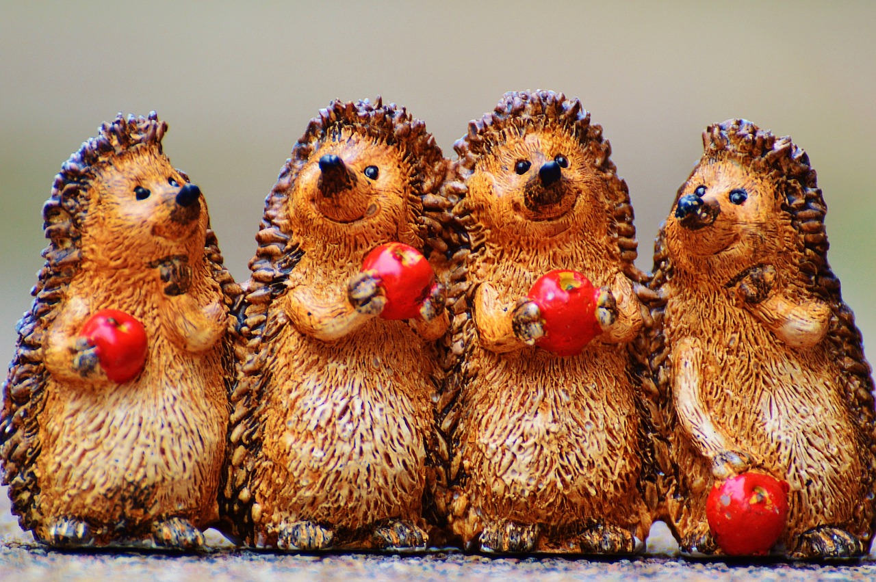 hedgehog figures funny free photo