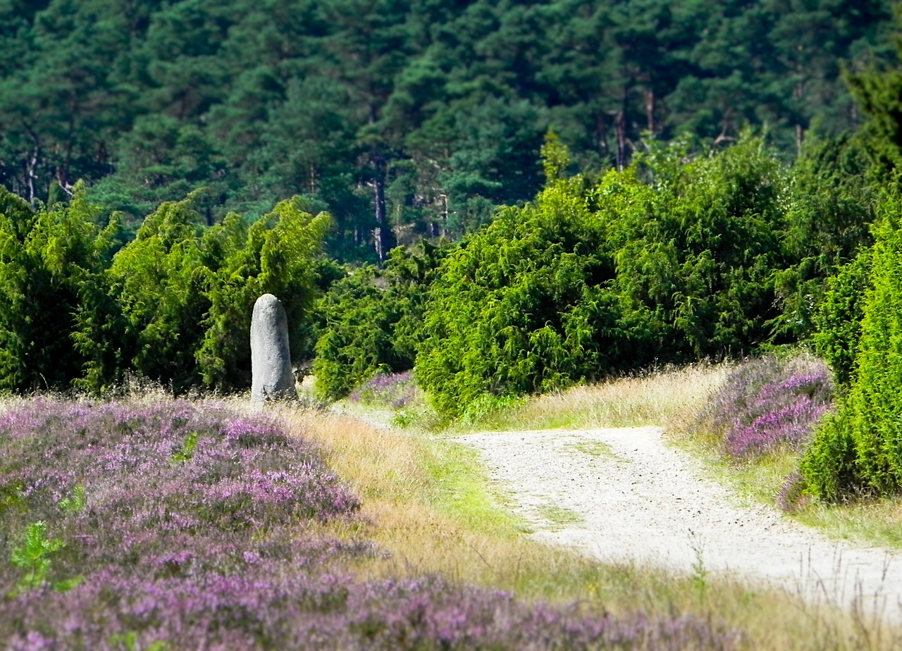 heide hike walk free photo