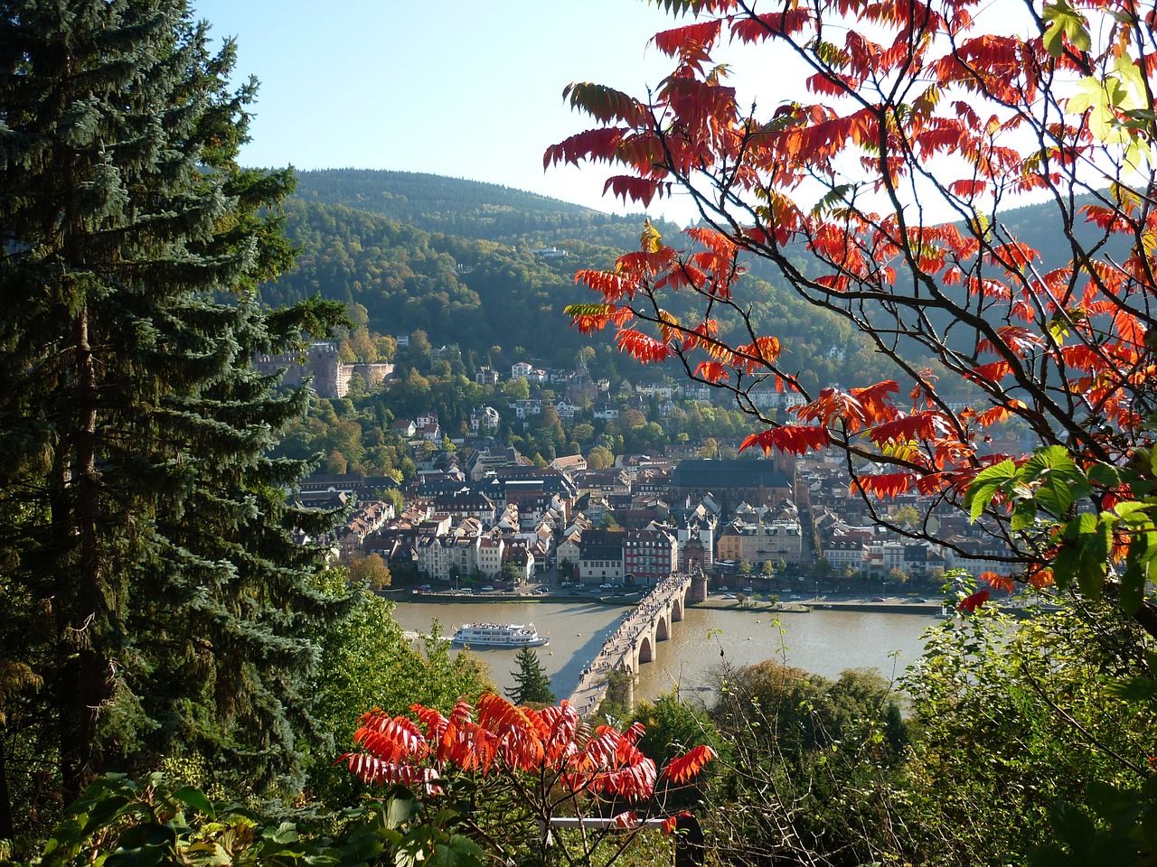 heidelberg view landscape free photo