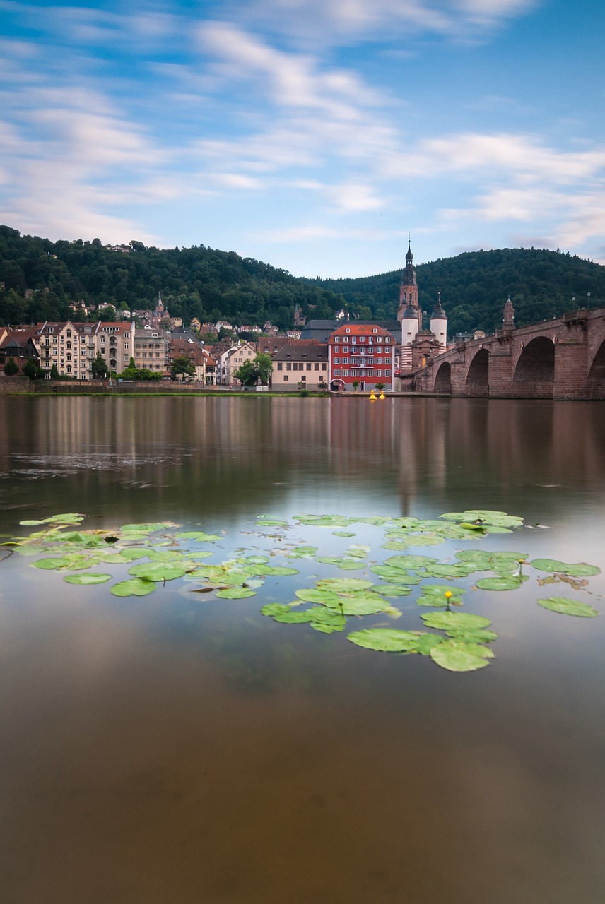 heidelberg bridge old town free photo