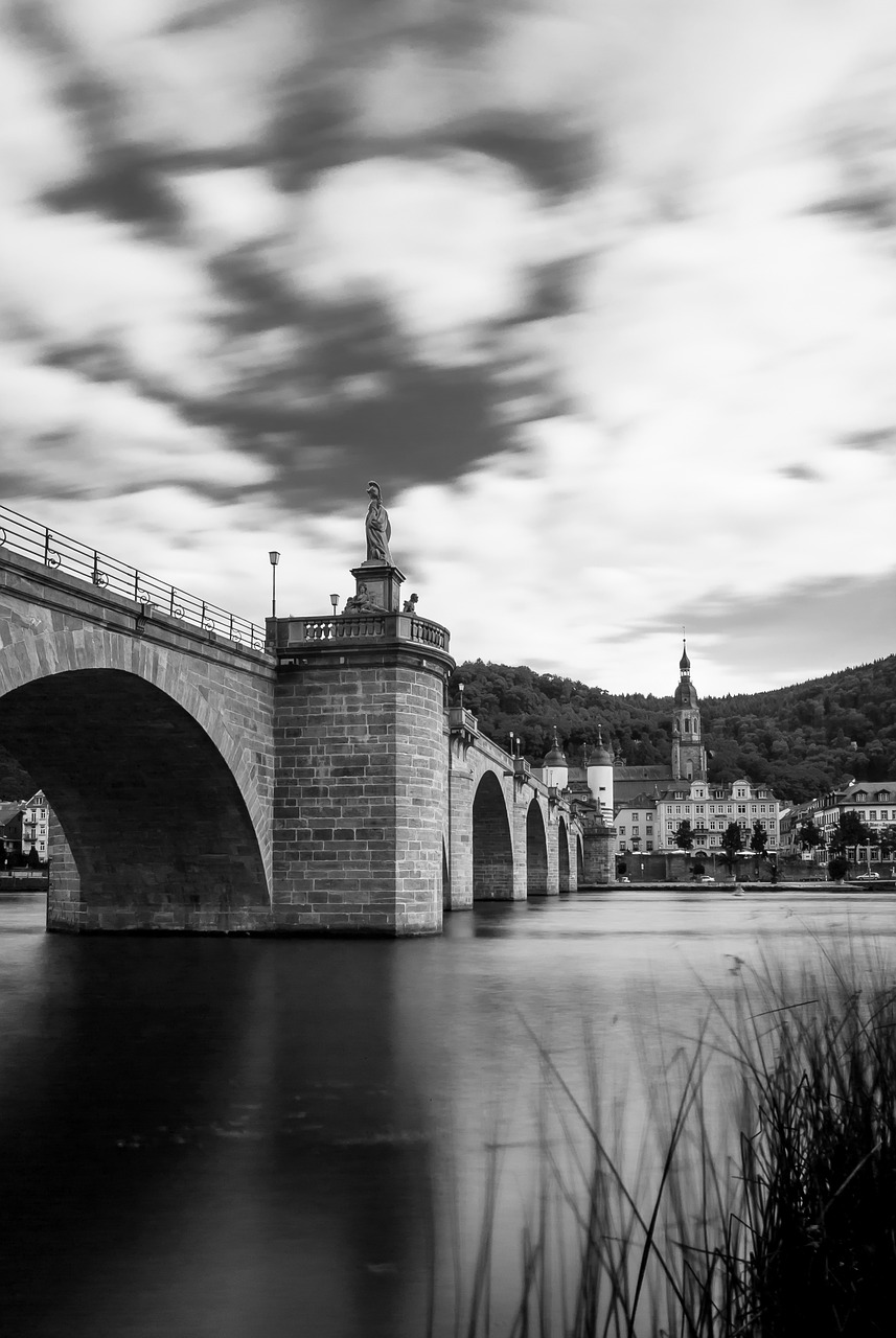 heidelberg bridge neckar free photo