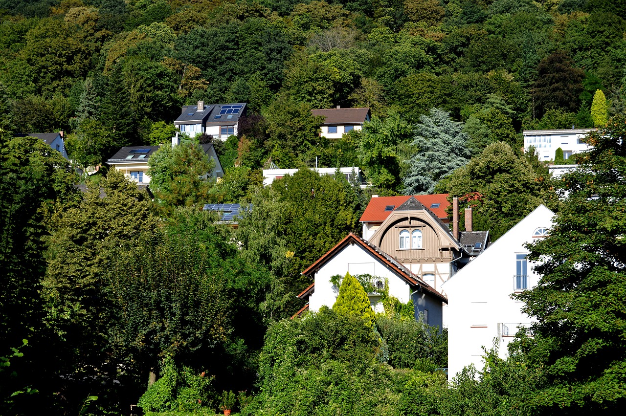 heidelberg live homes free photo