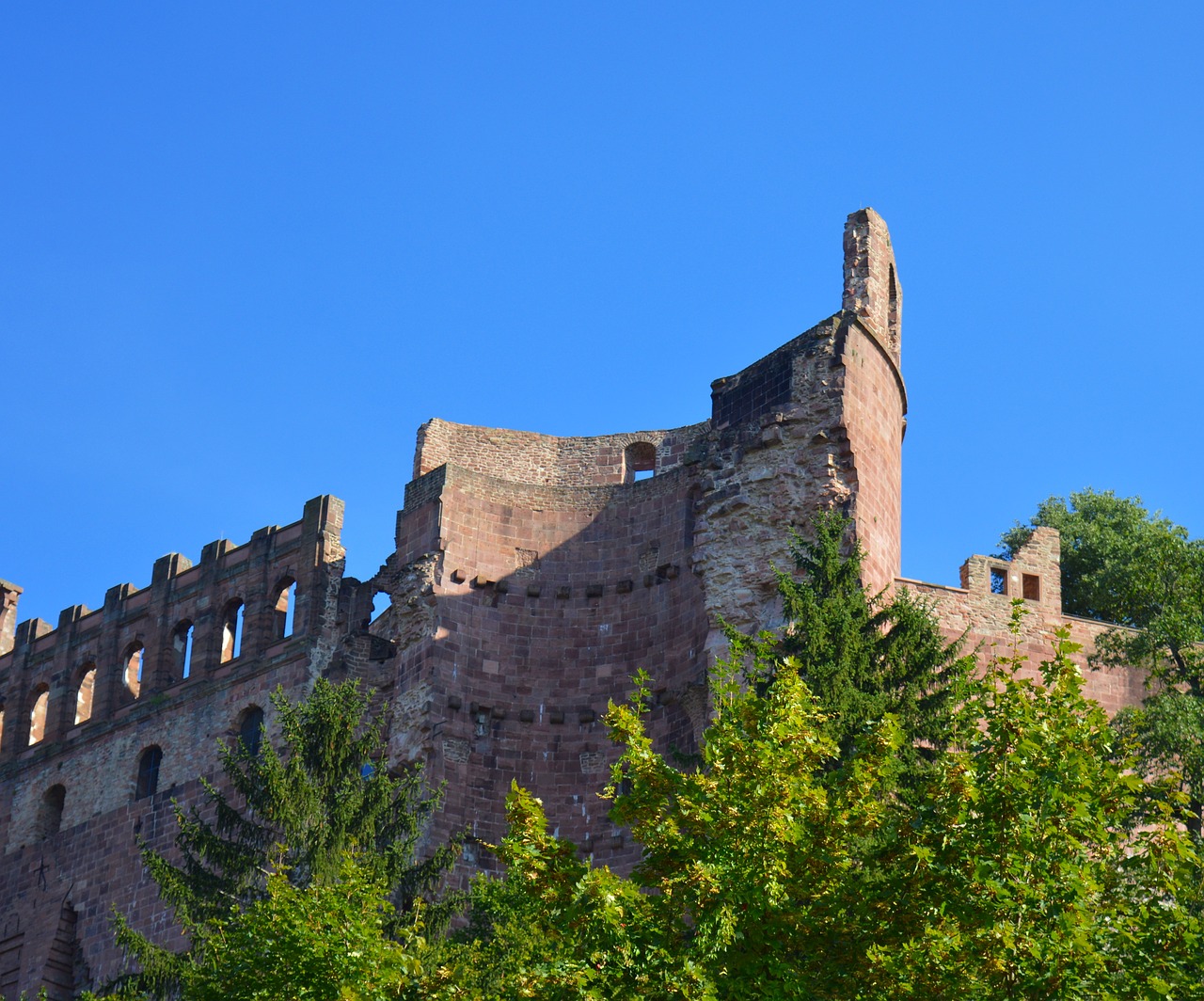 heidelberg castle heidelberger schloss free photo